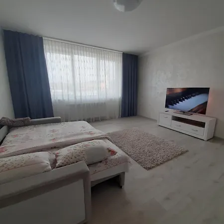 Luxury In The Center With A Terrace Apartmán Mukačevo