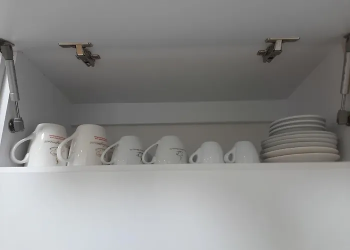 Luxury In The Center With A Terrace Mukacheve